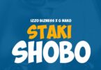 MP3 DOWNLOAD Izzo Bizness Ft G Nako – Shobo