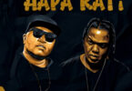 MP3 DOWNLOAD Kassim Mganga Ft AY Masta - Hapa Kati