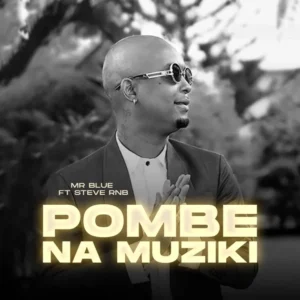 MP3 DOWNLOAD Mr Blue Ft Steve Rnb - Pombe na Muziki