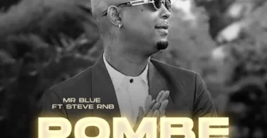MP3 DOWNLOAD Mr Blue Ft Steve Rnb - Pombe na Muziki