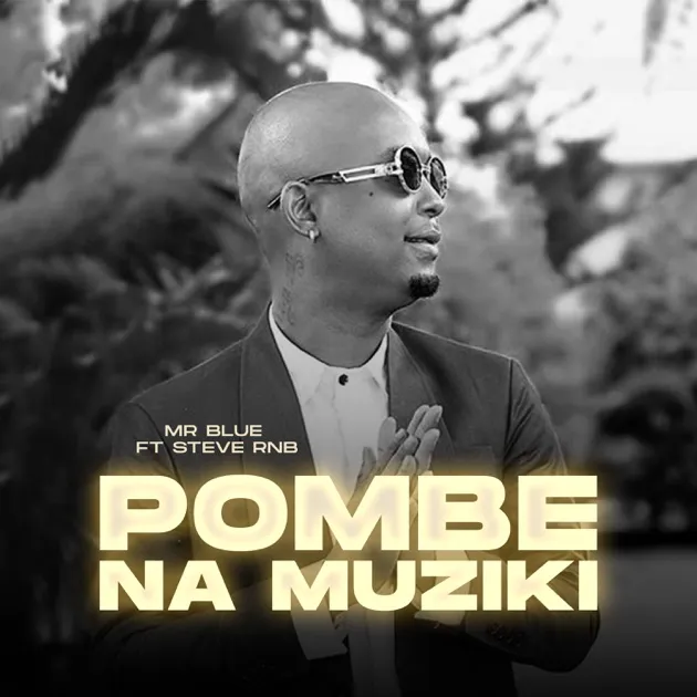 MP3 DOWNLOAD Mr Blue Ft Steve Rnb - Pombe na Muziki