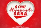 MP3 DOWNLOAD Q Chief – Uwapende Sana