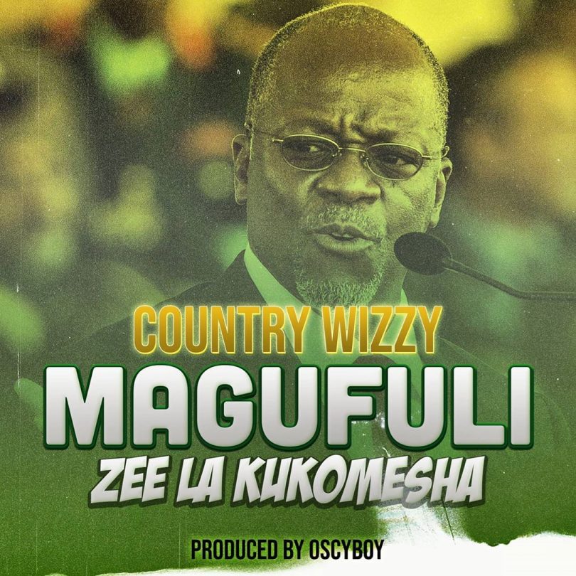 DOWNLOAD MP3 Country Wizzy - Magufuli