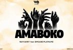 DOWNLOAD AUDIO Rayvanny Ft Diamond Platnumz - Amaboko