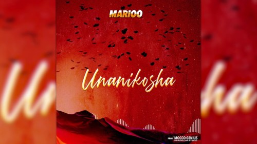 DOWNLOAD MP3 Marioo ft Skales - Unanikosha Remix