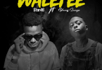 DOWNLOAD MP3 Star46 Ft Young Lunya – Waletee