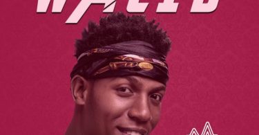 DOWNLOAD MP3 Walid - Dunia