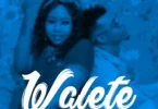 MP3 DOWNLOAD Amber Lulu Ft Kusah - Walete