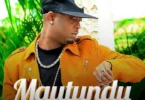 MP3 DOWNLOAD Mr Blue – Mautundu