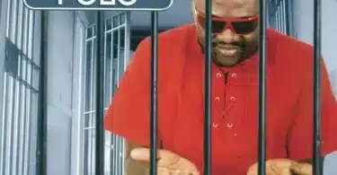 MP3 DOWNLOAD Sergeo Polo - S.O.S