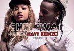 DOWNLOAD MP3 Navy Kenzo - Chelewa Bokodo