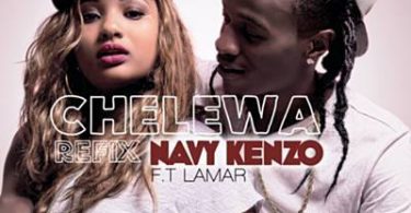 DOWNLOAD MP3 Navy Kenzo - Chelewa Bokodo