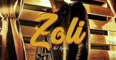 DOWNLOAD MP3 Nel Ngabo – Zoli
