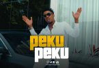 DOWNLOAD VIDEO Chege ft Mrisho Mpoto – Pekupeku