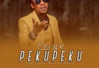 MP3 DOWNLOAD Chege Ft Mrisho Mpoto – Pekupeku