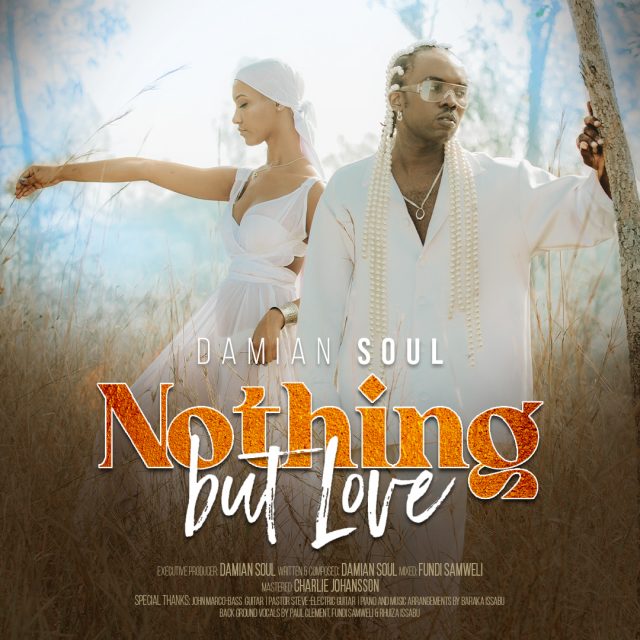 DOWNLOAD MP3 Damian Soul – Nothing But Love