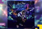 DOWNLOAD MP3 Fresh Prince - Sorry