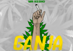 DOWNLOAD MP3 Mr Kesho - Ganja