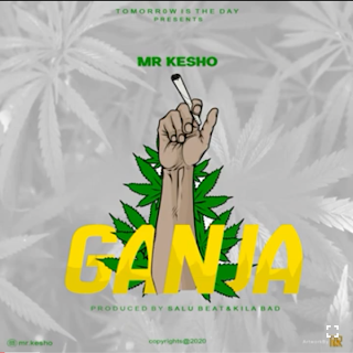 DOWNLOAD MP3 Mr Kesho - Ganja