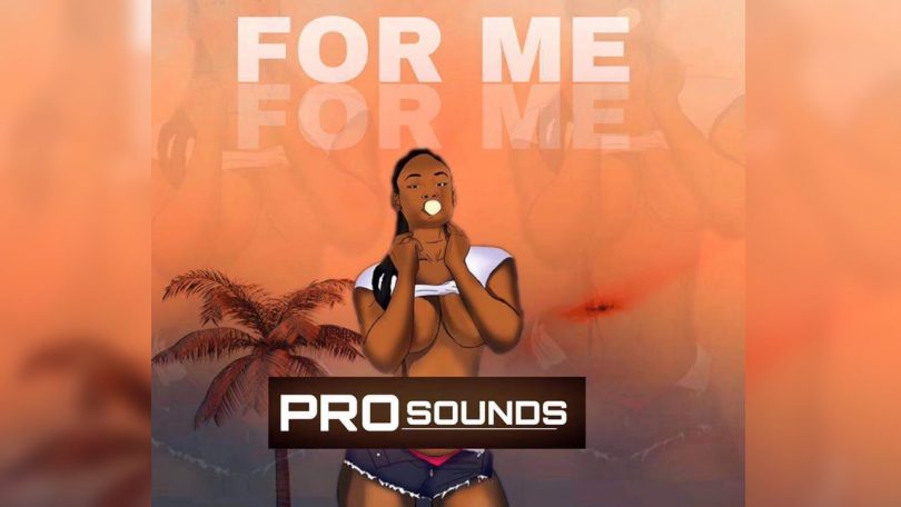 DOWNLOAD MP3 Pro Sounds - For Me