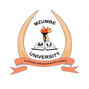 MZUMBE Selected Applicants 2020/21