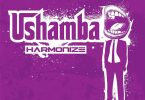 DOWNLOAD MP3 Harmonize – Ushamba