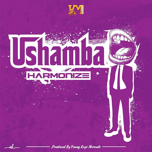 DOWNLOAD MP3 Harmonize – Ushamba