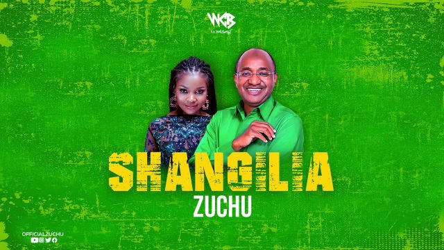 DOWNLOAD MP3 Zuchu – Shangilia