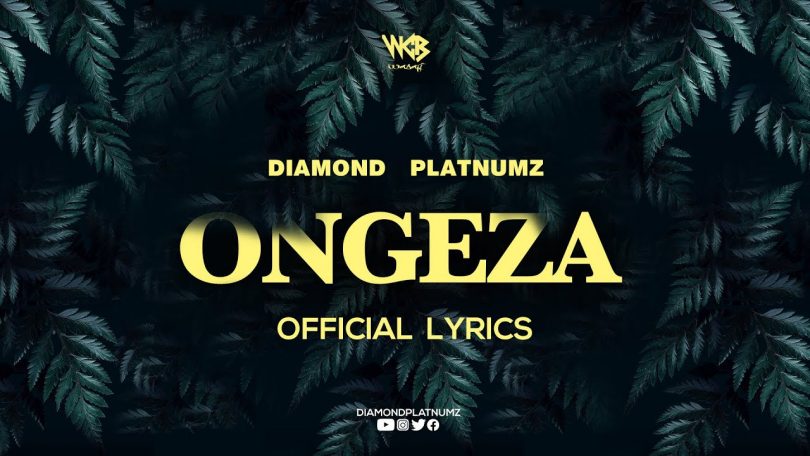 DOWNLOAD VIDEO Diamond Platnumz - Ongeza