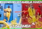 DOWNLOAD VIDEO Harmonize - Ushamba Video Review