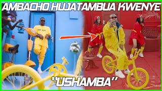 DOWNLOAD VIDEO Harmonize - Ushamba Video Review