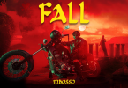 DOWNLOAD MP3 Mbosso – Fall