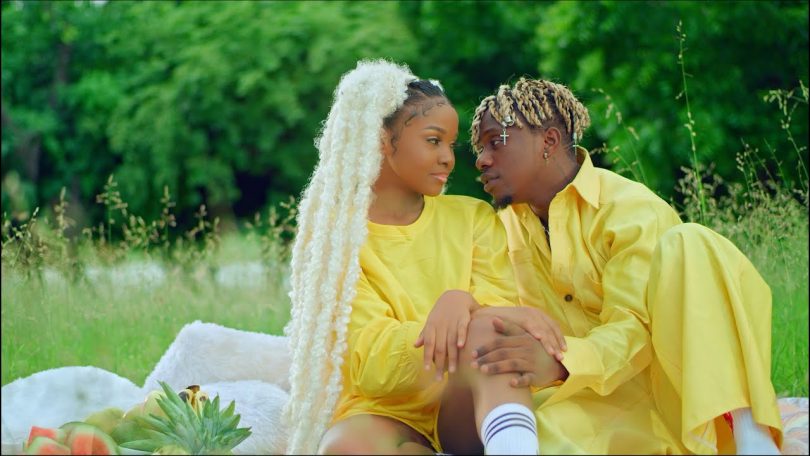 VIDEO DOWNLOAD Rayvanny Ft Zuchu – Number One