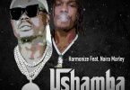 MP3 DOWNLOAD Harmonize Ft Naira Marley - Ushamba Remix