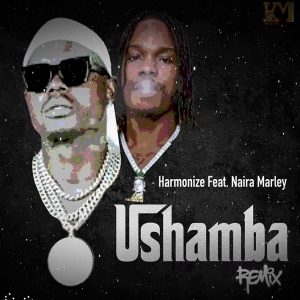MP3 DOWNLOAD Harmonize Ft Naira Marley - Ushamba Remix