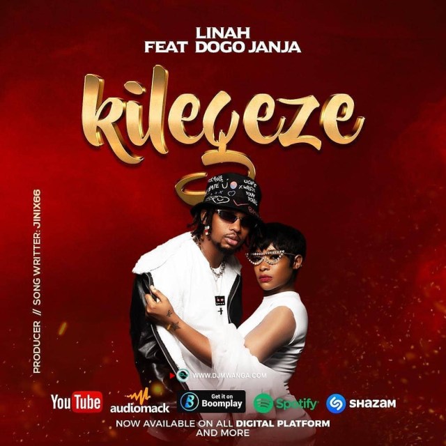 MP3 DOWNLOAD Linah ft Dogo Janja – Kilegeze