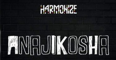MP3 DOWNLOAD Harmonize – Anajikosha
