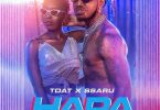 MP3 DOWNLOAD Timmy Tdat Ft Ssaru – Hapa