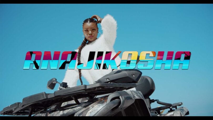 VIDEO DOWNLOAD Harmonize – Anajikosha