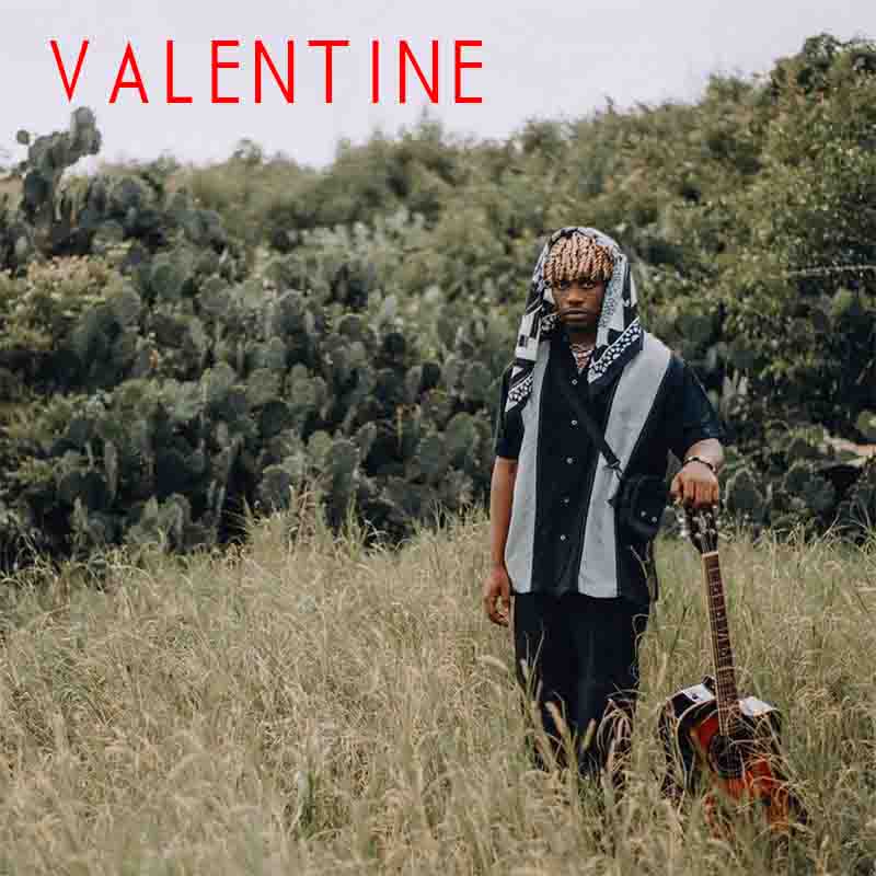 MP3 DOWNLOAD Rayvanny - Valentine