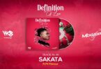 MP3 DOWNLOAD Mbosso Ft Mr Flavour – Sakata