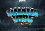 MP3 DOWNLOAD Rapcha Ft Femi One & King Kaka - Unaua Vibe Remix