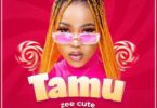 MP3 DOWNLOAD Zee Cute – Tamu