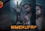 MP3 DOWNLOAD Khan Sillah - Nimekufa?