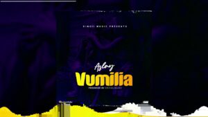 MP3 DOWNLOAD Aslay - Vumilia