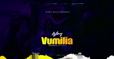 MP3 DOWNLOAD Aslay - Vumilia