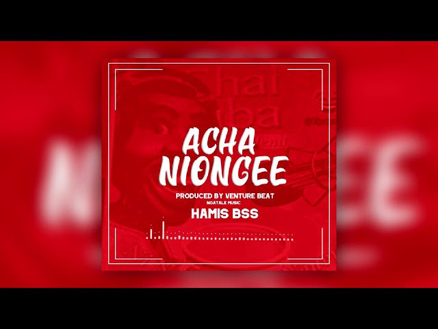 MP3 DOWNLOAD Hamis Bss – Achaniongee