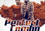 MP3DOWNLOAD Joh Makini Ft Chidinma – Perfect Combo