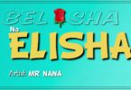 MP3 DOWNLOAD Mr. Nana- Belisha & Elisha