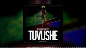 MP3 DOWNLOAD Harmonize - Tuvushe